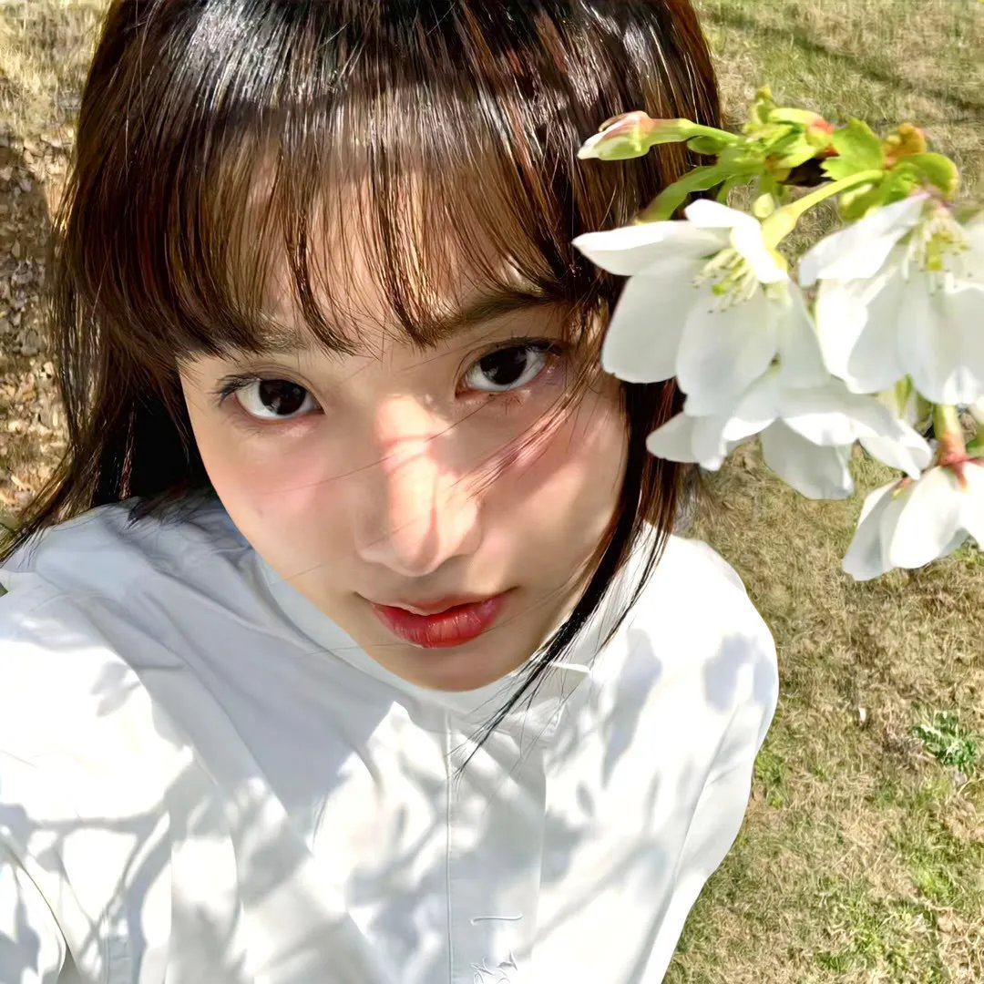 变形金刚08动画版第一季